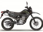 2021 Kawasaki KLX 300